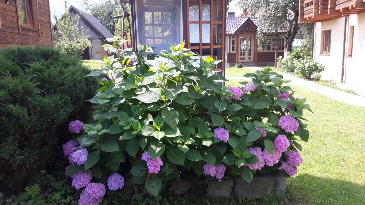 У Тарнавських Mykulychyn Buitenkant foto